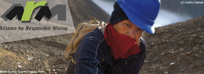 ARM publica el Informe Anual 2010 (en Inglés, proximamente disponible en Español)