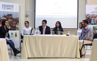 A New project to strengthen local social dialogue and control over the mining sector