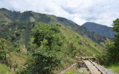 Congratulations to the Cooperativa Multiactiva Agrominera of Íquira!