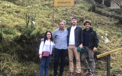 OECD Due Diligence Guidance project activities