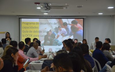 Training workshop on the OECD Due Diligence Guidance