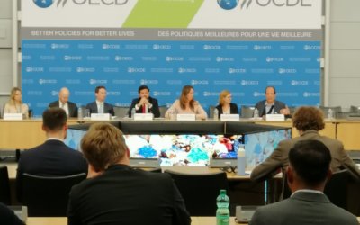 We took part in the OECD’s Forum on responsible supply chains for minerals