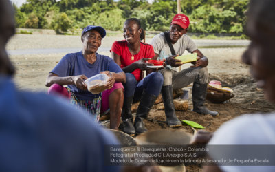 CRAFT Code´s revision