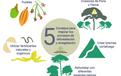 5 tips to improve reforestation and revegetation processes efficiency to face climate change