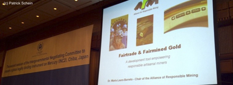 Actualización sobre las negociaciones del Tratado Global sobre Mercurio