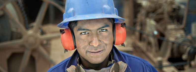 Se requieren consultores para el desarrollo de planes de negocios y plataformas virtuales