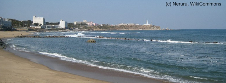 Chiba, Japón: ARM en la reunión del Comité Intergubernamental que elabora el instrumento legal internacional sobre mercurio