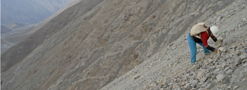 Un llamado hacia un enfoque holístico en la reducción del mercurio