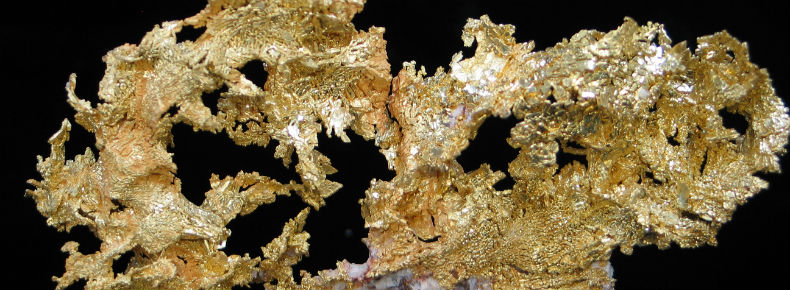 Conference: GOLD – Vision, Value and Values